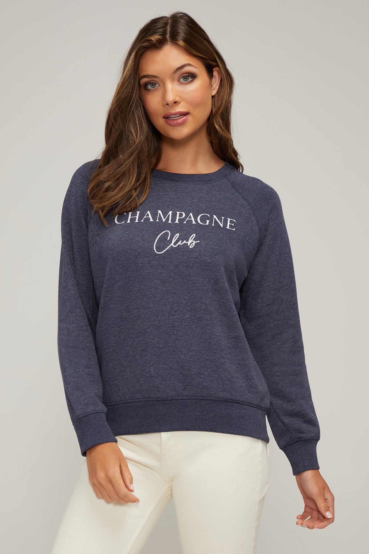 Wildfox v neck sweatshirt new arrivals