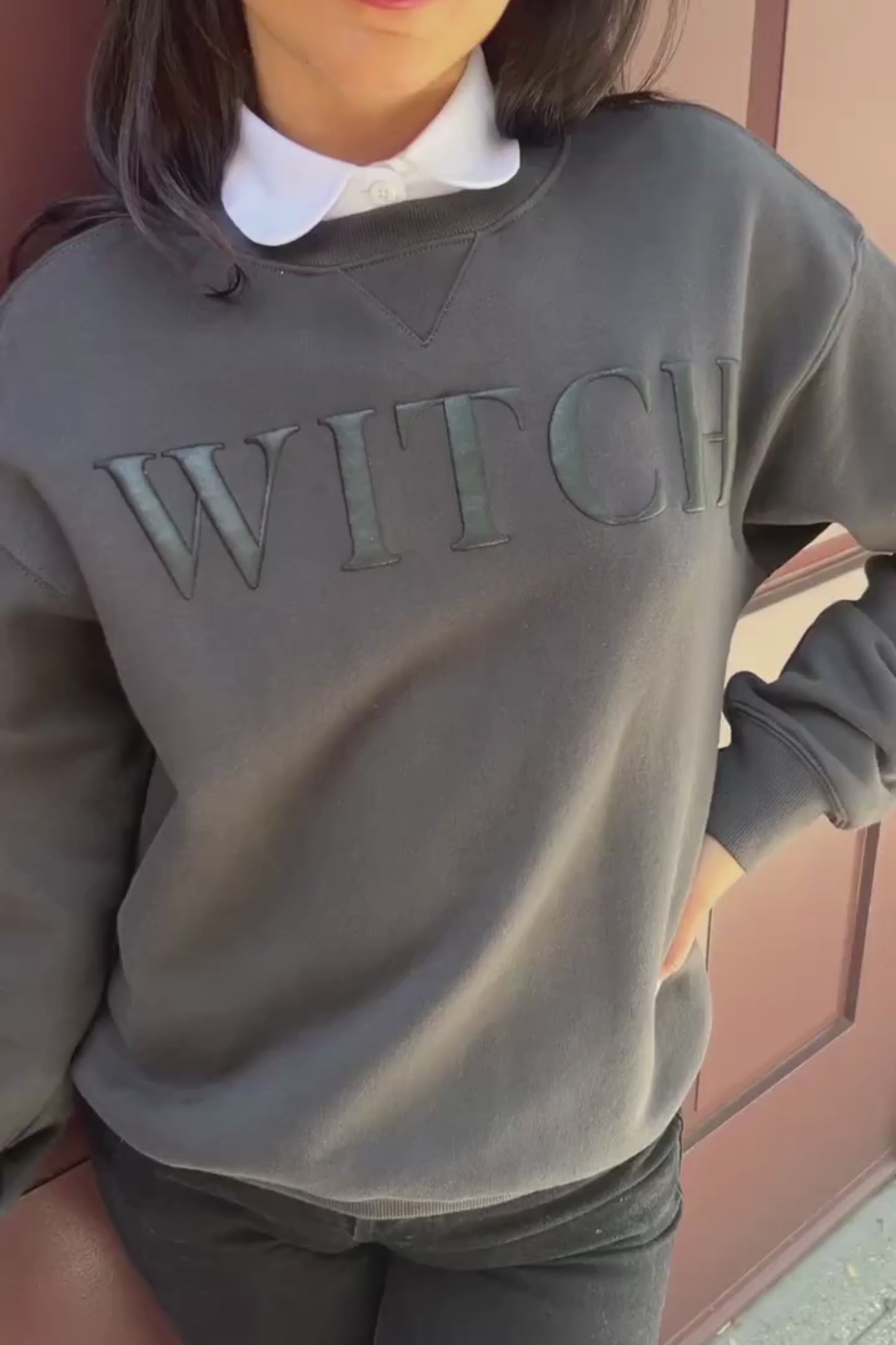 Wildfox black deals sweatshirt