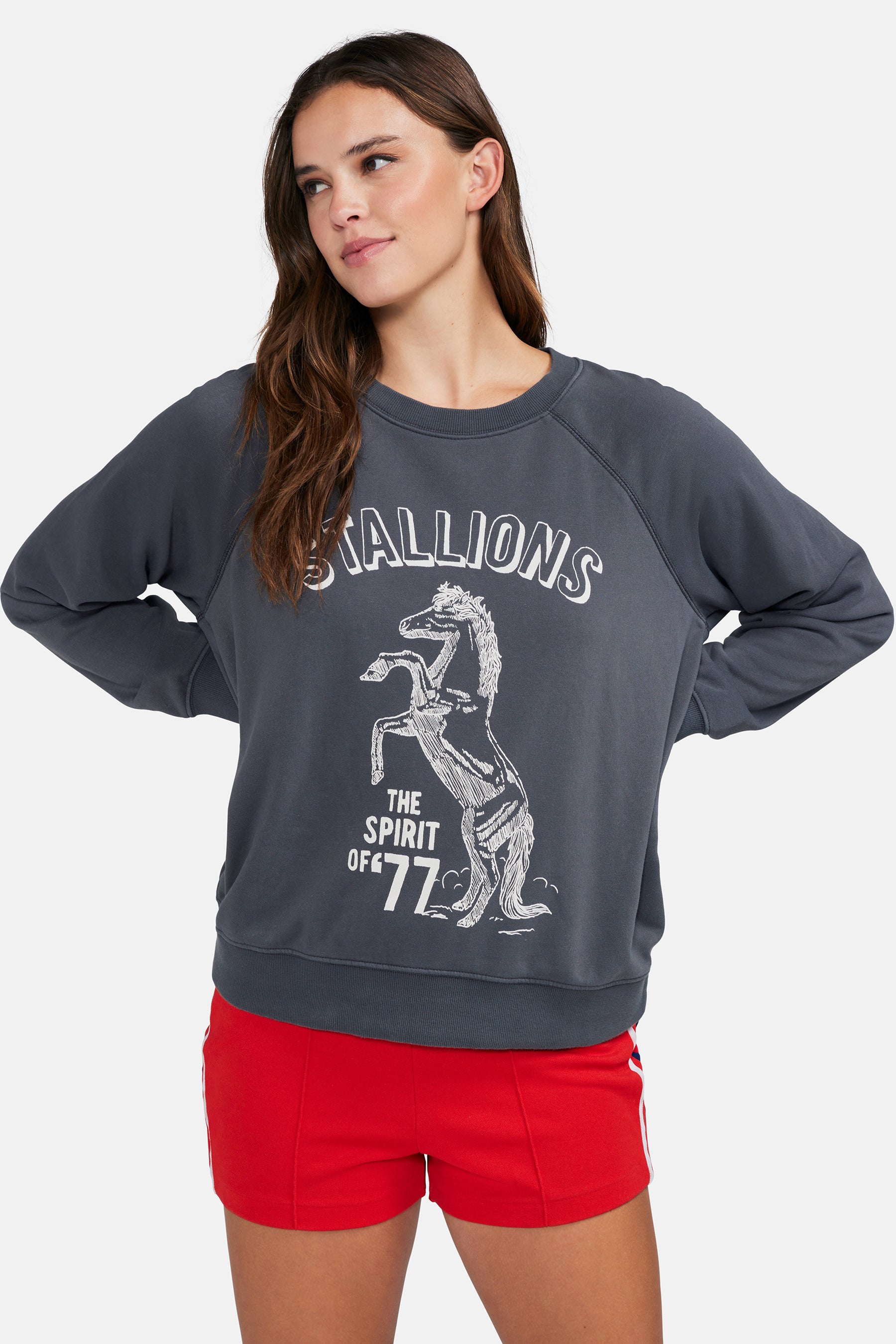 Stallion Of 77 Sommers Sweatshirt | Succulent