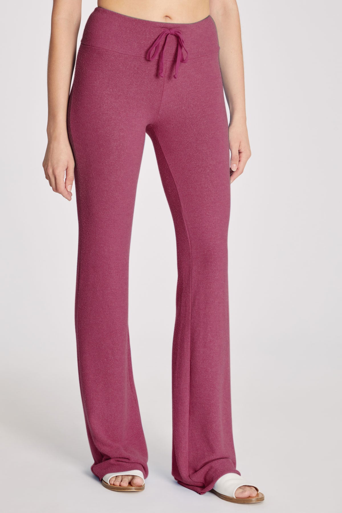 FESTIVAL FUCHSIA