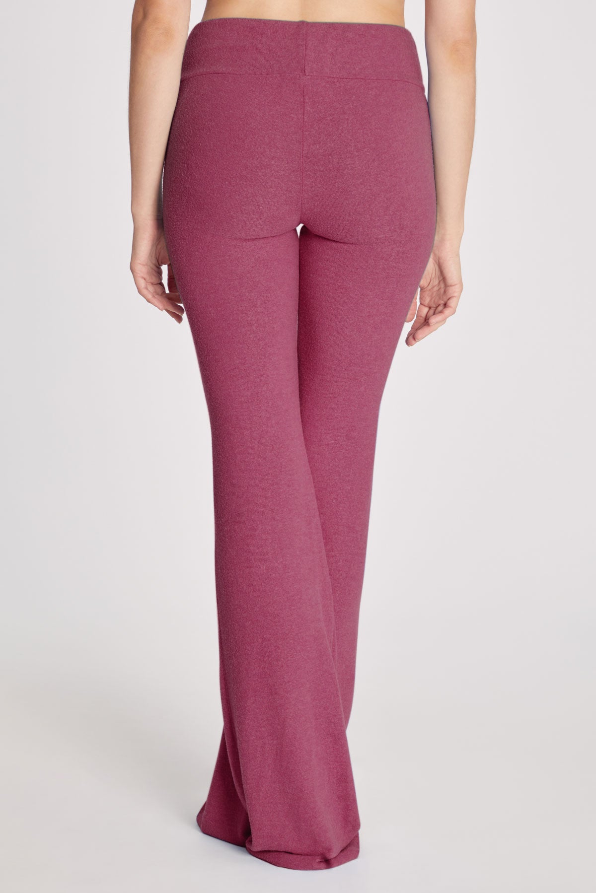 FESTIVAL FUCHSIA