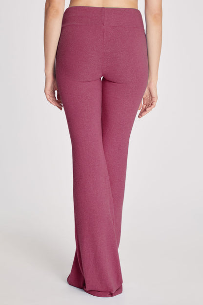 FESTIVAL FUCHSIA